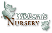Wildlands Nursery logo
