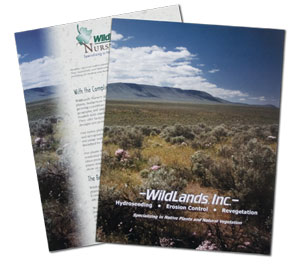Wildlands Brochure